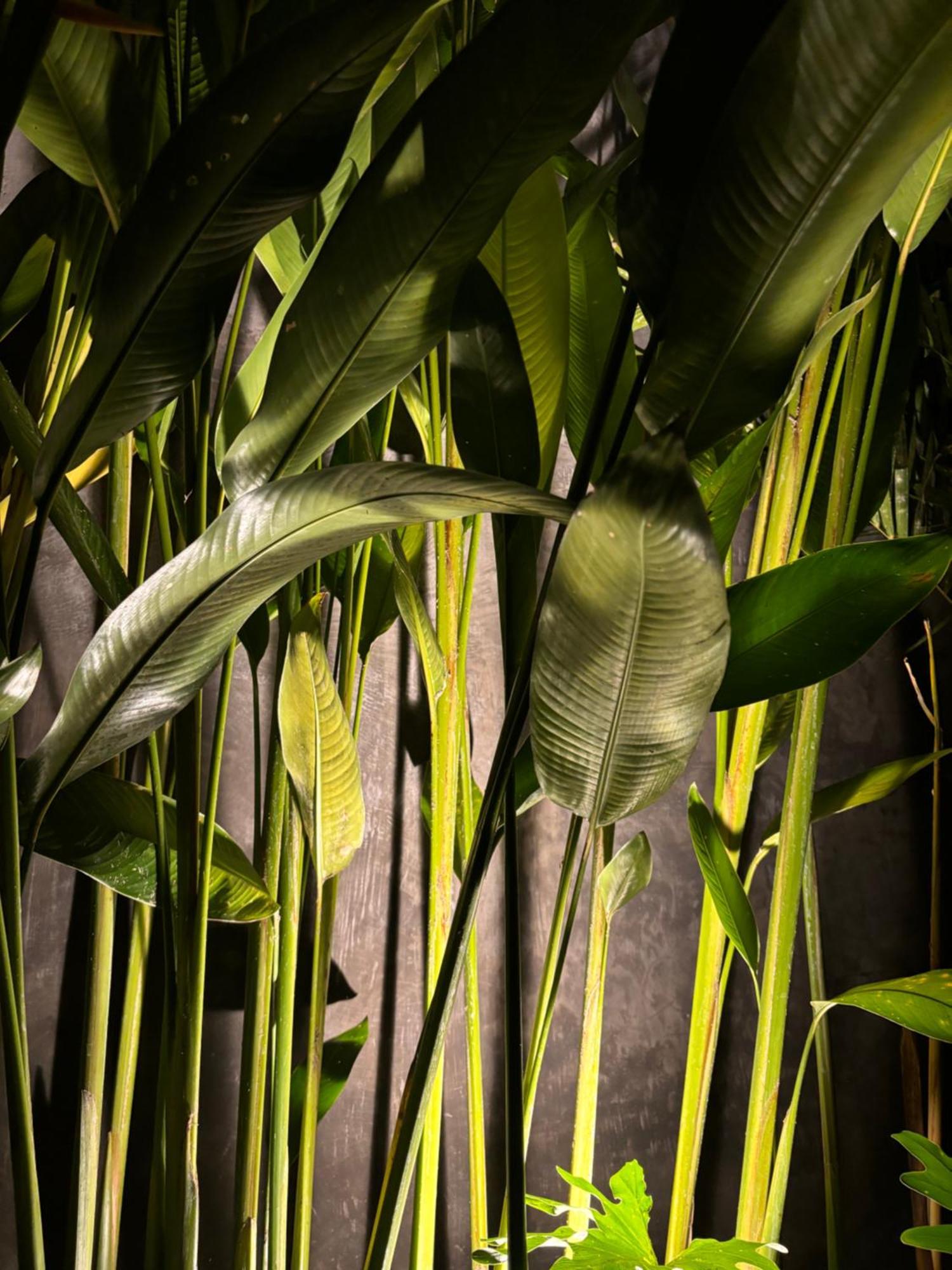 Rumah Kita Ecolodge Убуд Экстерьер фото