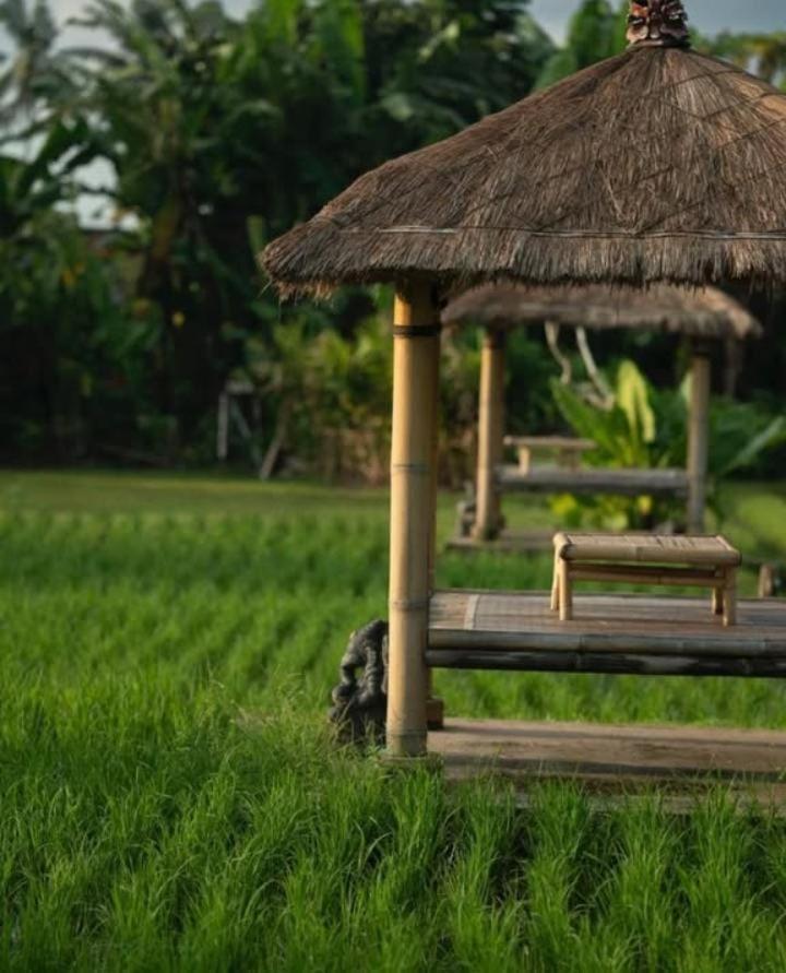 Rumah Kita Ecolodge Убуд Экстерьер фото